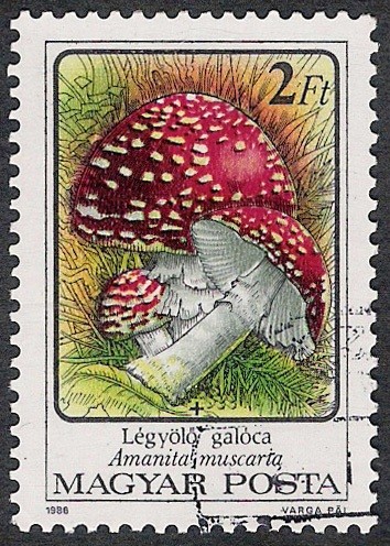 SETAS-HONGOS: 1.164.012,03-Amanita muscaria -Phil.47543-Dm.986.73-Y&T.3082-Mch.3872-Sc.3047