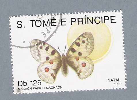 Mariposas Macaón Papilio Machaón