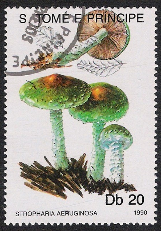 SETAS:220.030(4)D.990.38-.987-M.1185-S.939-Stropharia aeruginosa