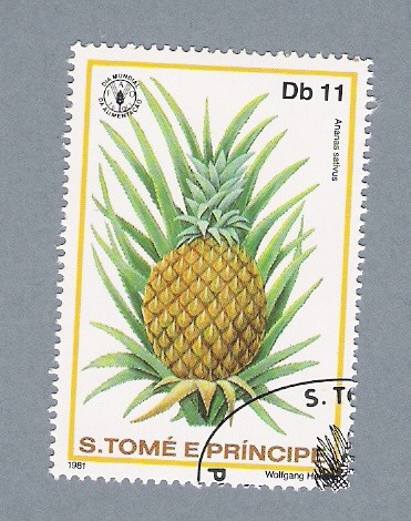 Ananas Sativus