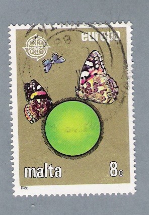 Mariposas