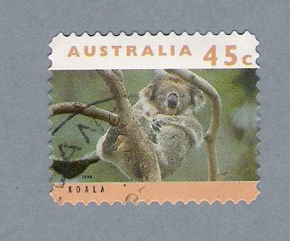 Koala