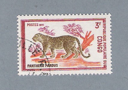 Pantera Pardus