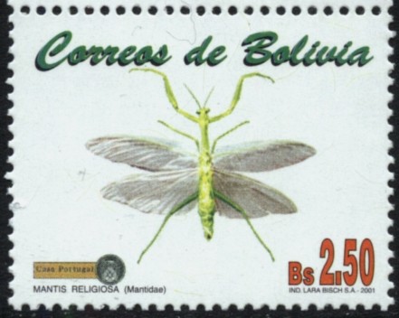 Serie - Insectos