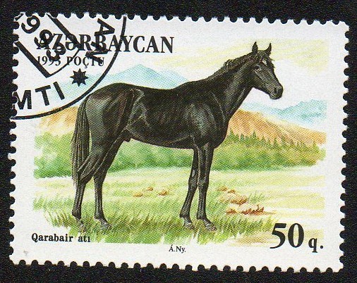 Razas de caballo-Qarabair