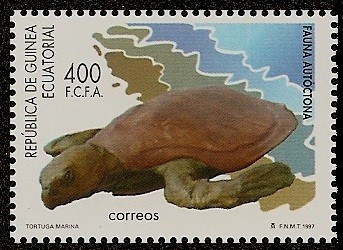 Fauna Autóctona - Tortuga marina