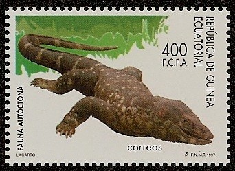 Fauna Autóctona - Lagarto