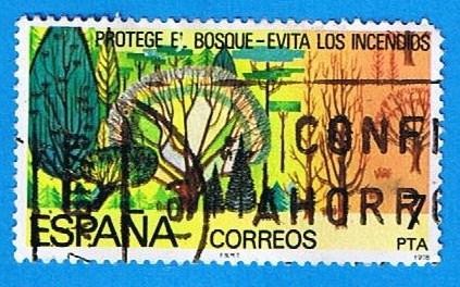 Protecion de los Bosques