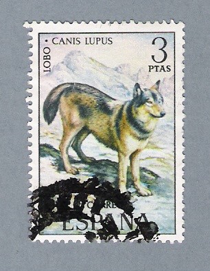 Lobo Canis Lupus (repetido)