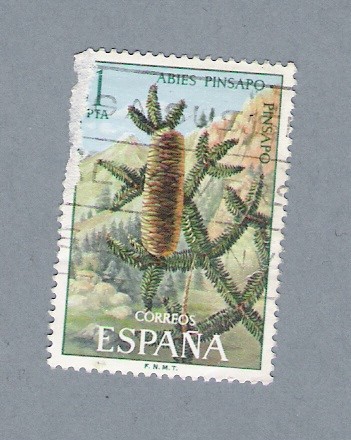 Abies Binsapo (repetido)