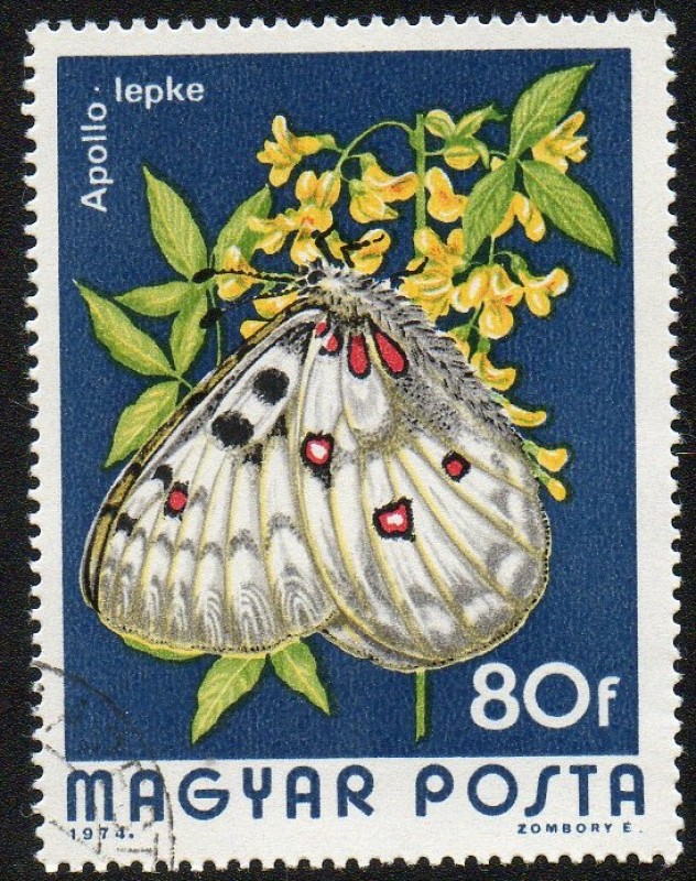 Mariposa