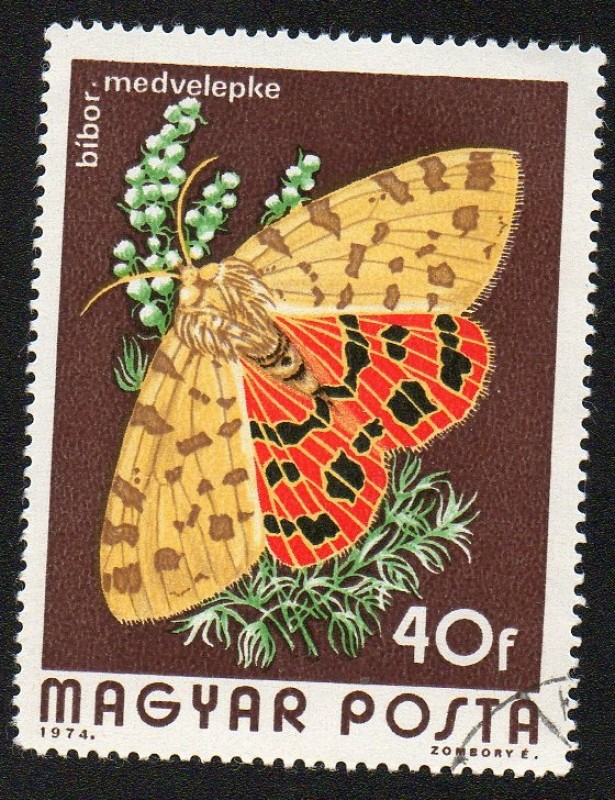 Mariposa