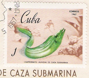 Campeonato Mundial de caza submarina