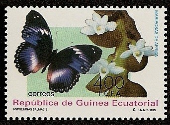 Mariposas de Africa - Hypolimnas