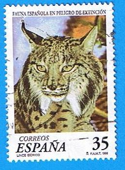 3529  Fauna en peligro de extincion ( Lince Iberico )