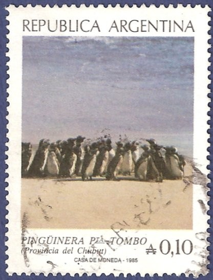 ARG Pingüinera Pta. Tombo A0.10 (1)