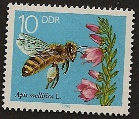 Abeja