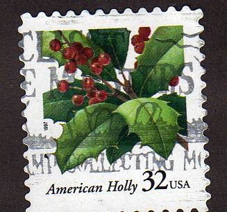 American Holly Motivo Navideño