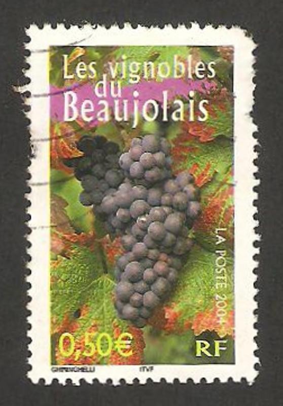 viñedos de beaujolais