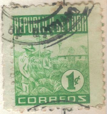 pi CUBA recolectores 1c