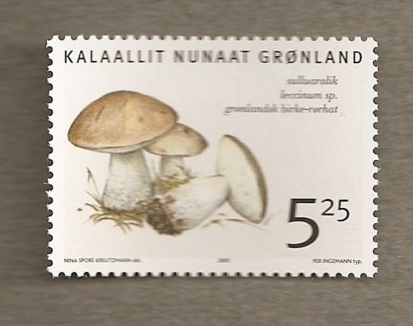 Seta Leccinum