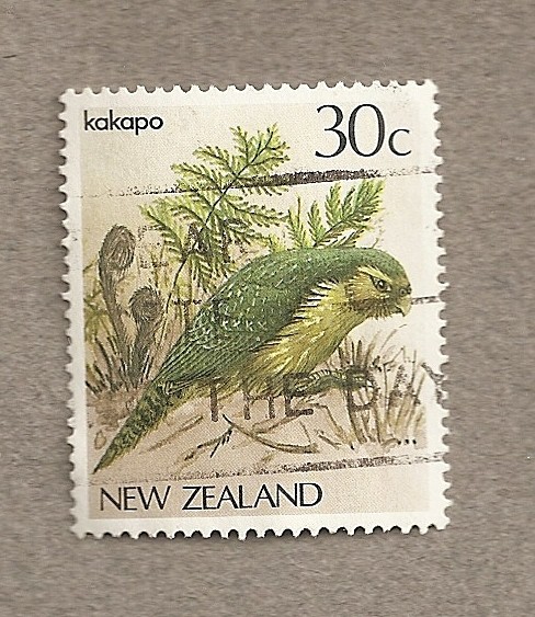 Ave Kakapo