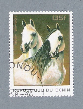 Caballos