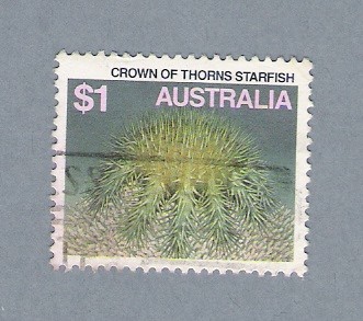 Crown of Thorns Starfish