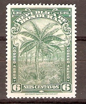 PLANTA  DE  BANANAS