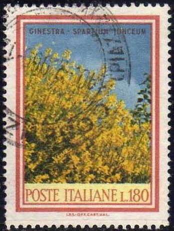 Italia 1966 Scott 937A Sello Arboles Arbustos Ginestra usado