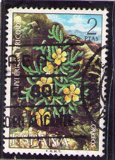 Flora 2221