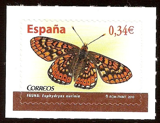 Euphydryas aurinia