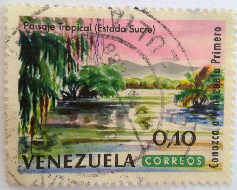 Paisaje Tropical