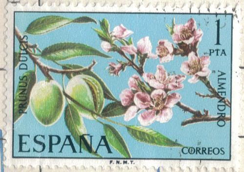 ESPANA 1975 (E2254) Flora - Prunus dulcis 1p h