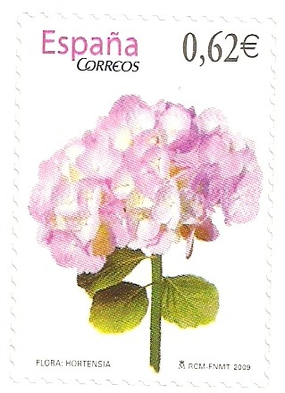 Hortensia