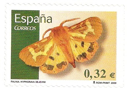 Hyphoraia dejeani