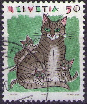 Gatos