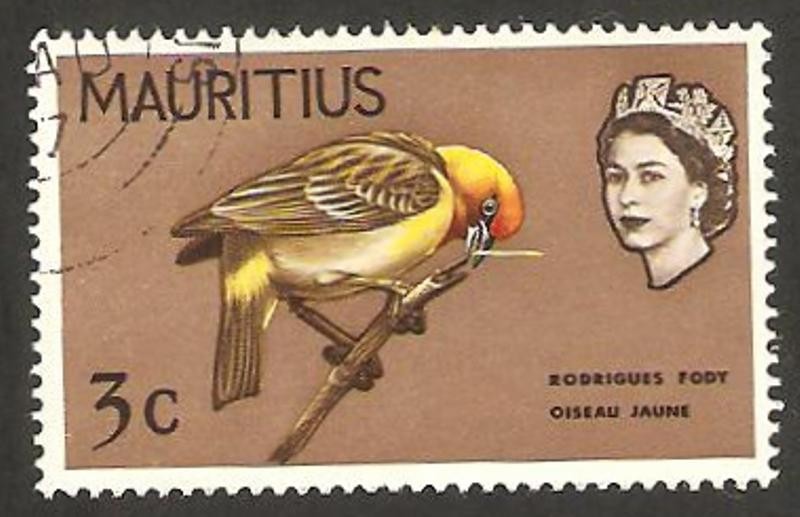 elizabeth II, y pajaro amarillo