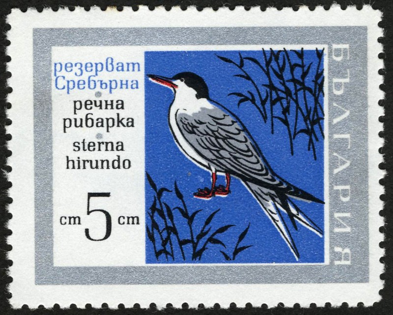 BULGARIA - Reserva natural de Srebarna