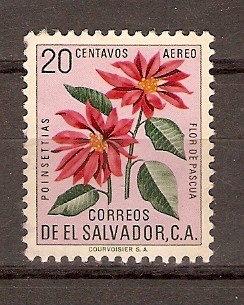 FLOR  DE  PASCUA