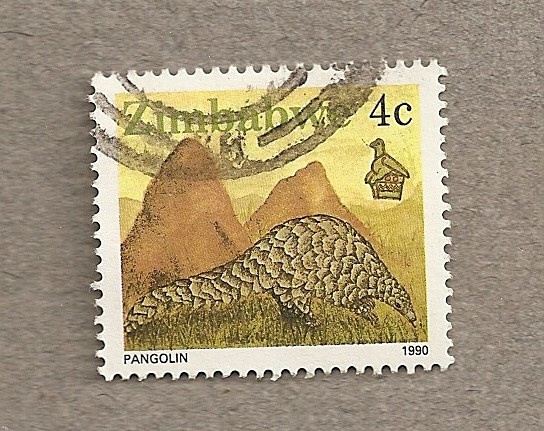 Pangolin