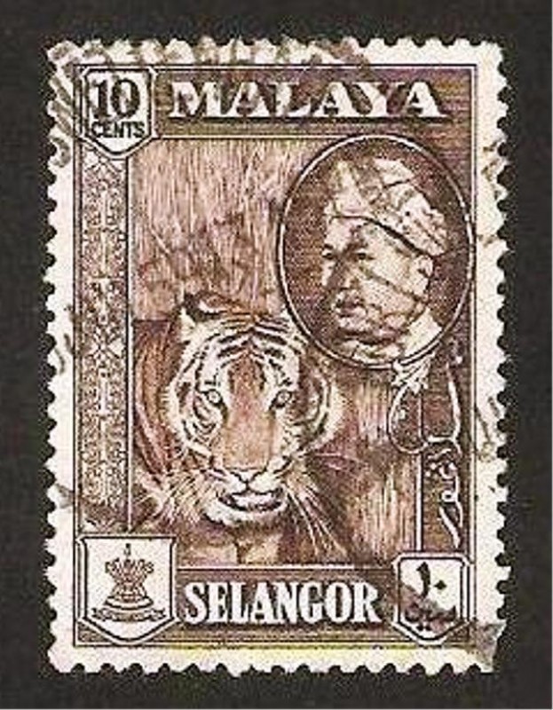 selangor - sultán hisamuddin alam shah, tigre