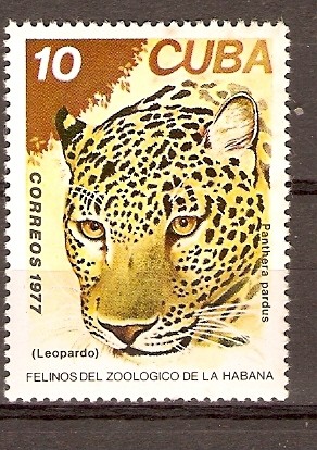 LEOPARDO