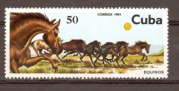 CABALLOS  (EQUINOS)