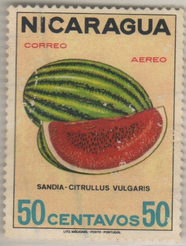 Citrullus vulgaris