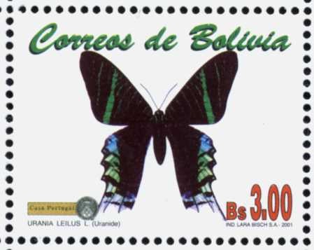 Mariposas e Insecos