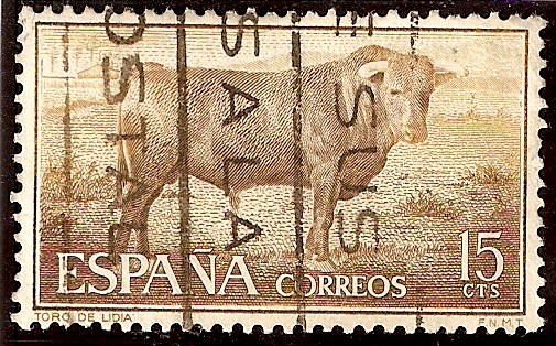 Fiesta Nacional -Toro de lidia