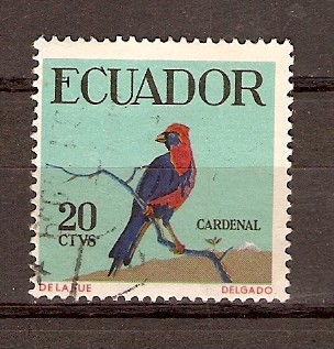 PÁJARO  CARDENAL