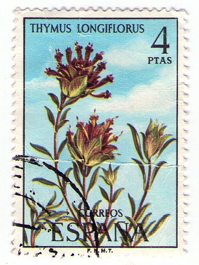 Flora 2222