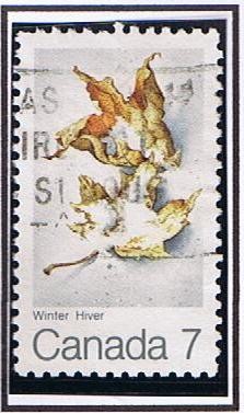 Winter Hiver
